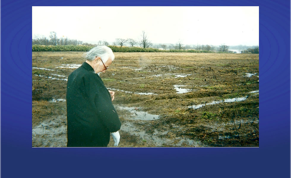 ���X�،��l