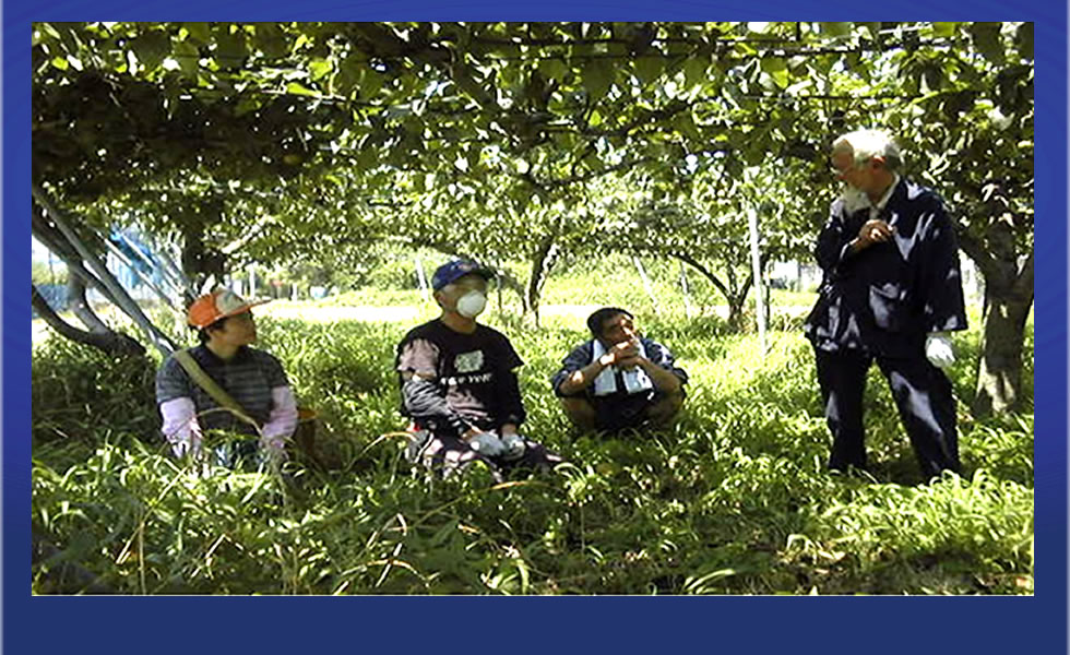 ���X�،��l