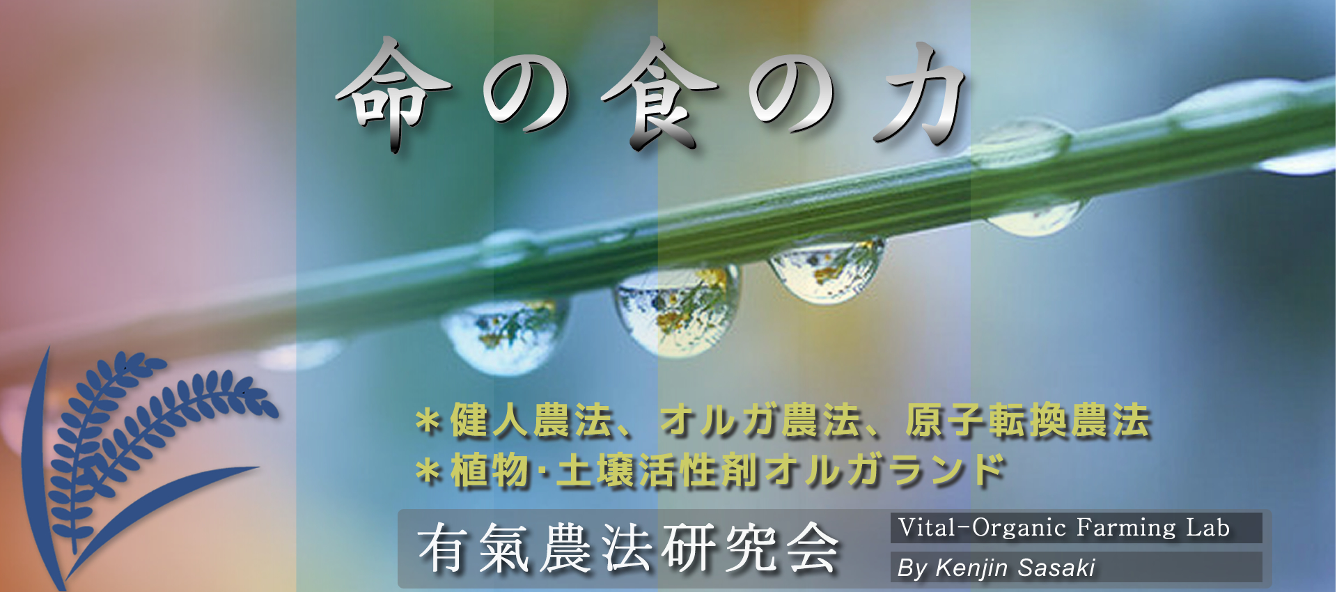 ���X�،��l-OFFGIAL WEB SITE-�g�b�v2